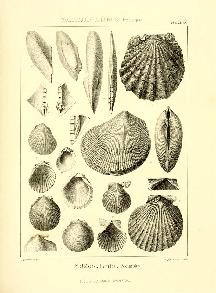 n228_w1150