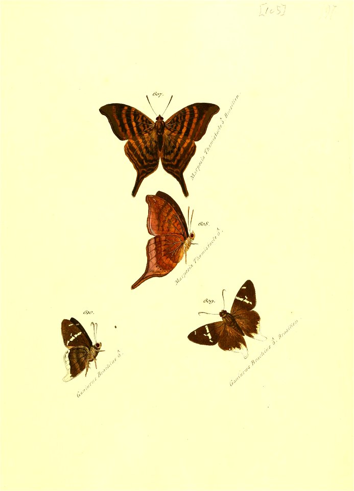 n212_w1150