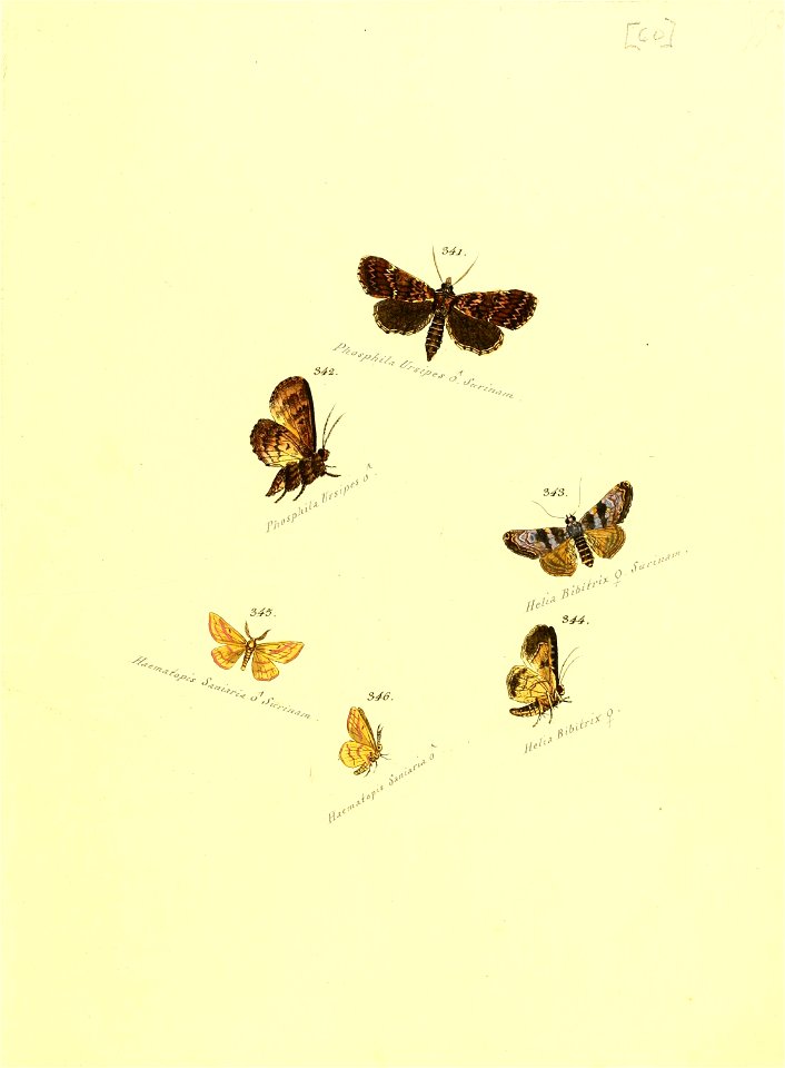 n122_w1150