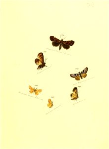 n122_w1150