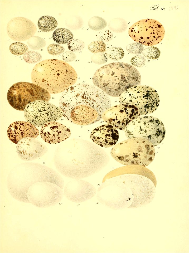 n412_w1150