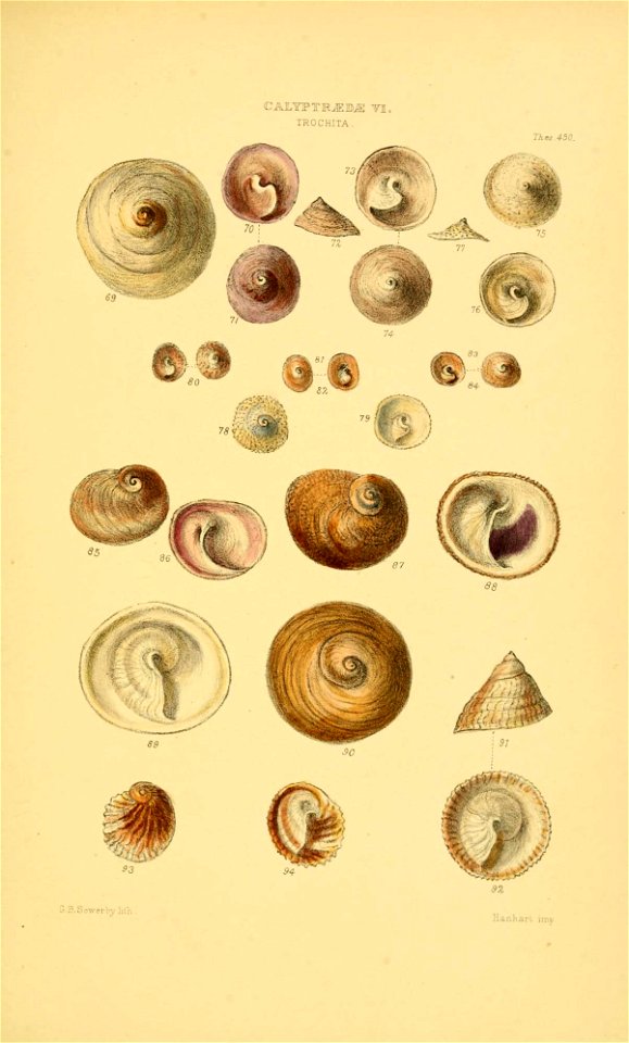 n126_w1150