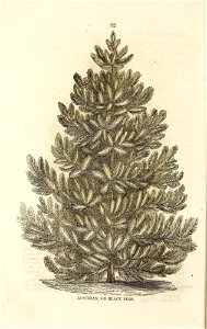 n39_w1150