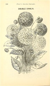 n151_w1150