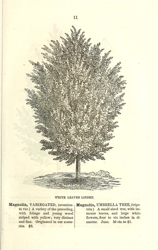 n18_w1150