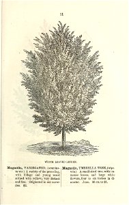 n18_w1150