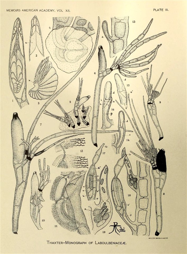 n225_w1150