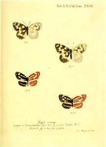 n170_w1150