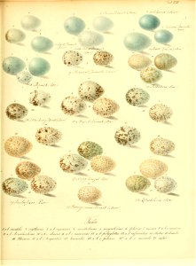 n122_w1150