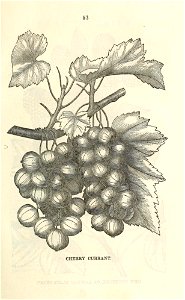 n56_w1150