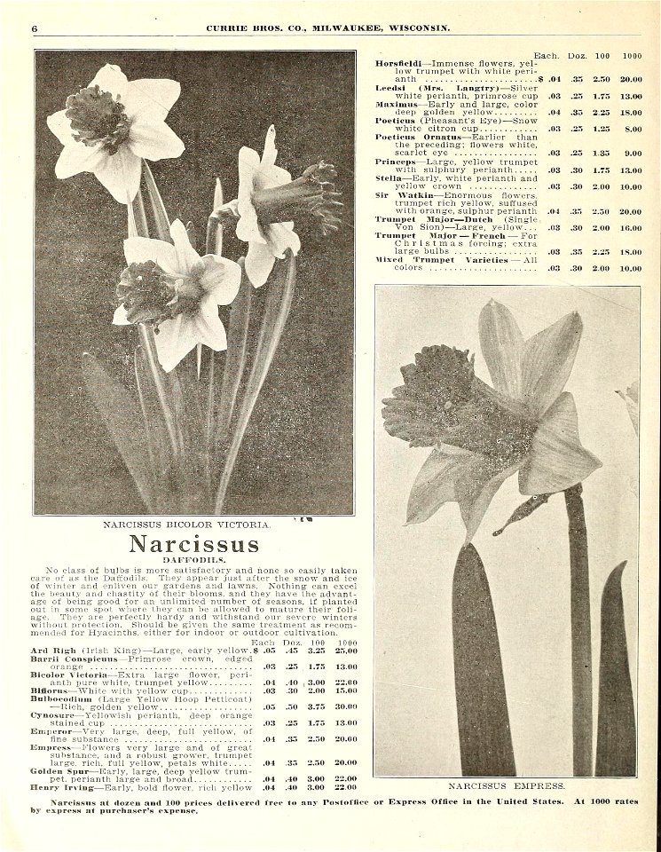 n7_w1150