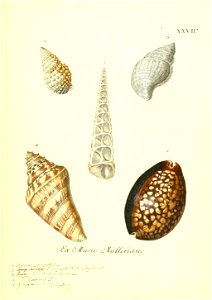 n126_w1150