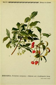 n58_w1150