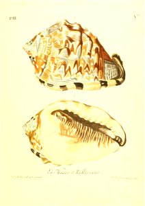 n154_w1150