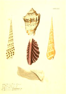 n56_w1150