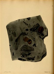n155_w1150