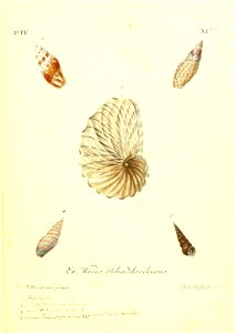 n218_w1150