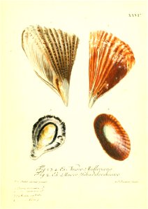 n124_w1150