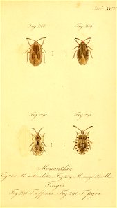 n192_w1150