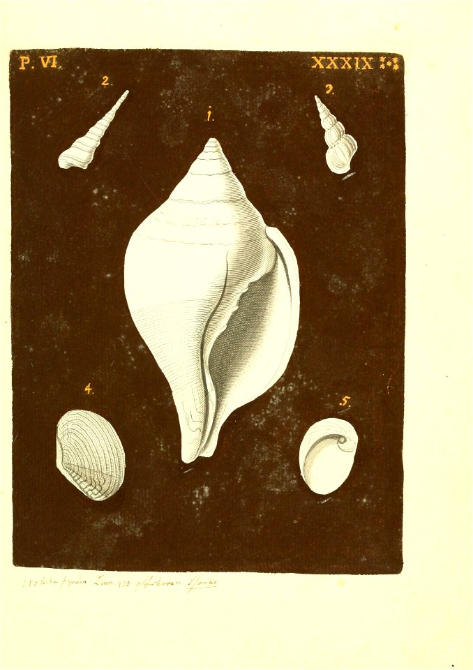 n398_w1150