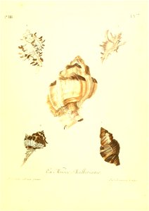 n152_w1150