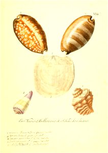 n120_w1150