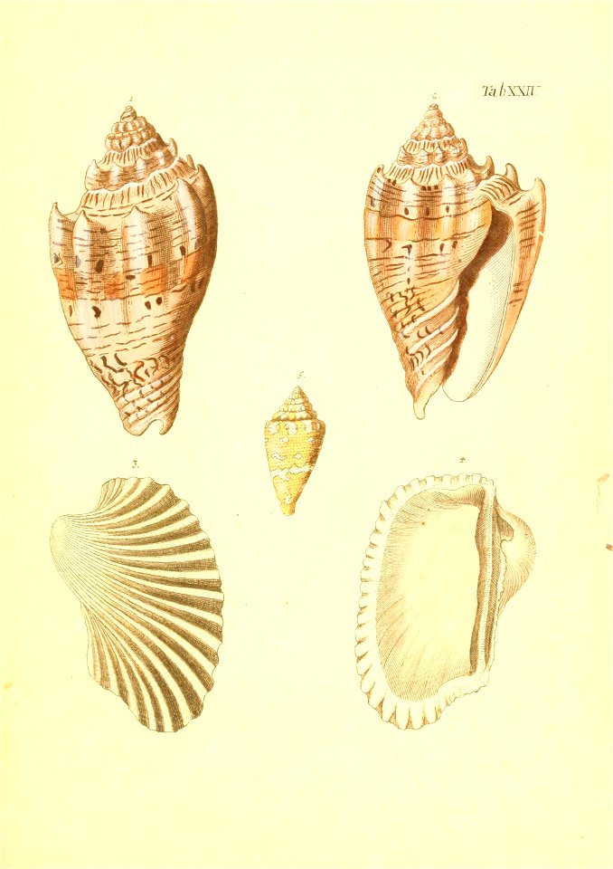 n58_w1150