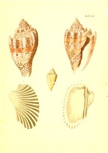 n58_w1150
