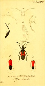 n158_w1150