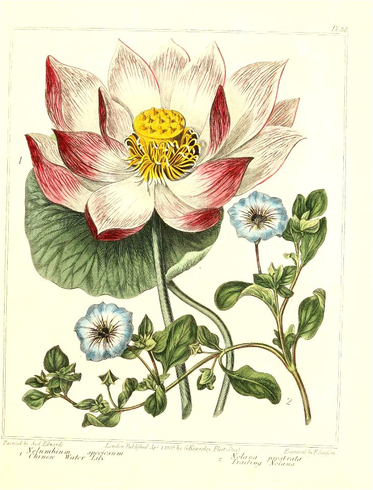 n405_w1150