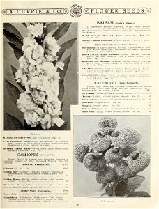 n54_w1150