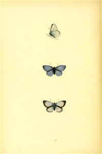 n257_w1150