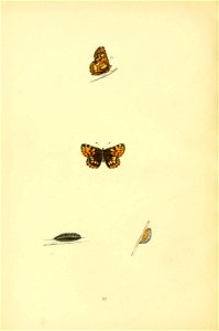 n187_w1150
