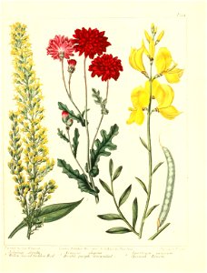 n575_w1150