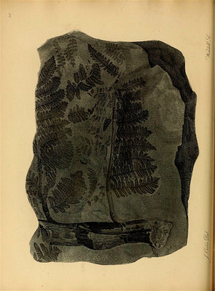 n143_w1150