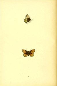 n117_w1150
