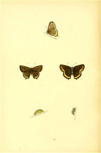 n179_w1150
