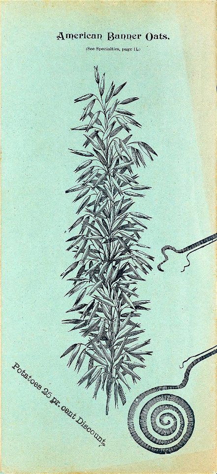 n59_w1150