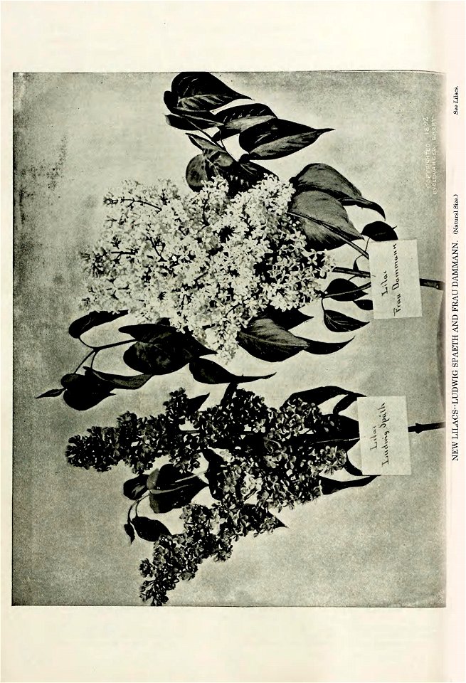 n105_w1150