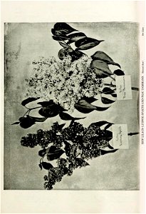 n105_w1150