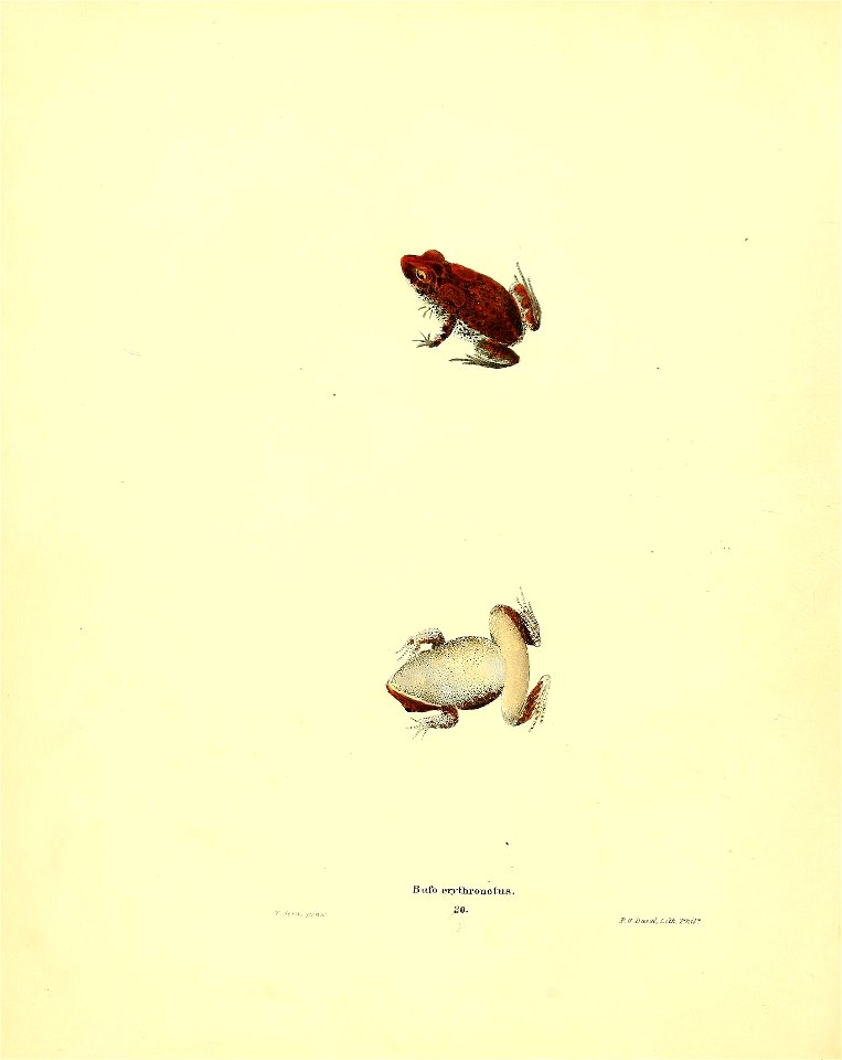 n149_w1150