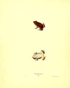 n149_w1150