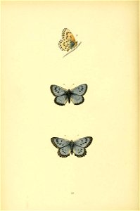 n253_w1150