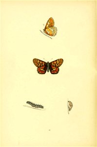 n191_w1150
