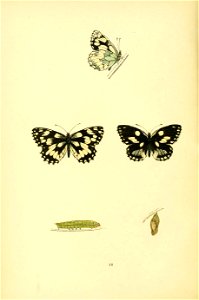 n67_w1150