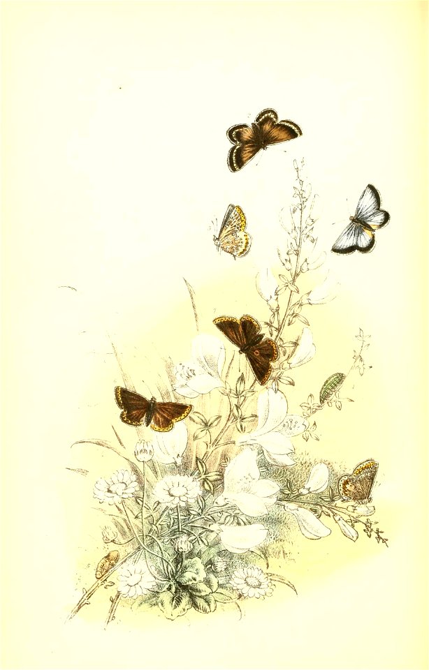 n127_w1150