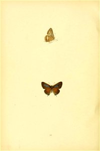 n245_w1150