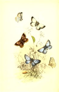 n119_w1150