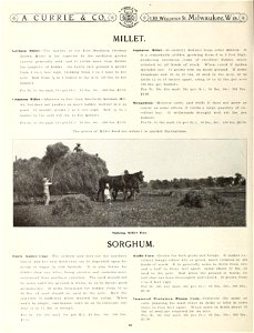 n41_w1150