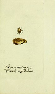n96_w1150
